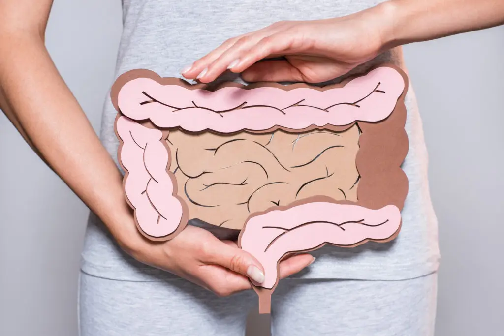 Everything Begins in the Gut: Leaky Gut