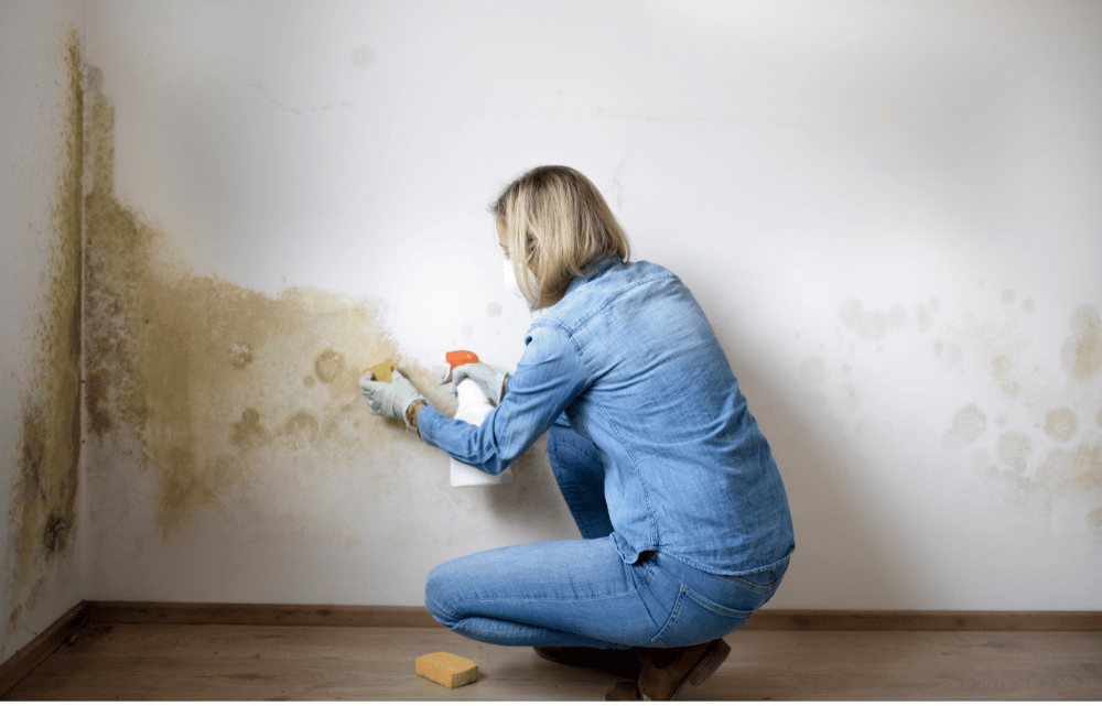 Mold Illness: All You Need To Know