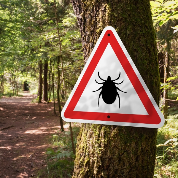 lyme-disease-treatment