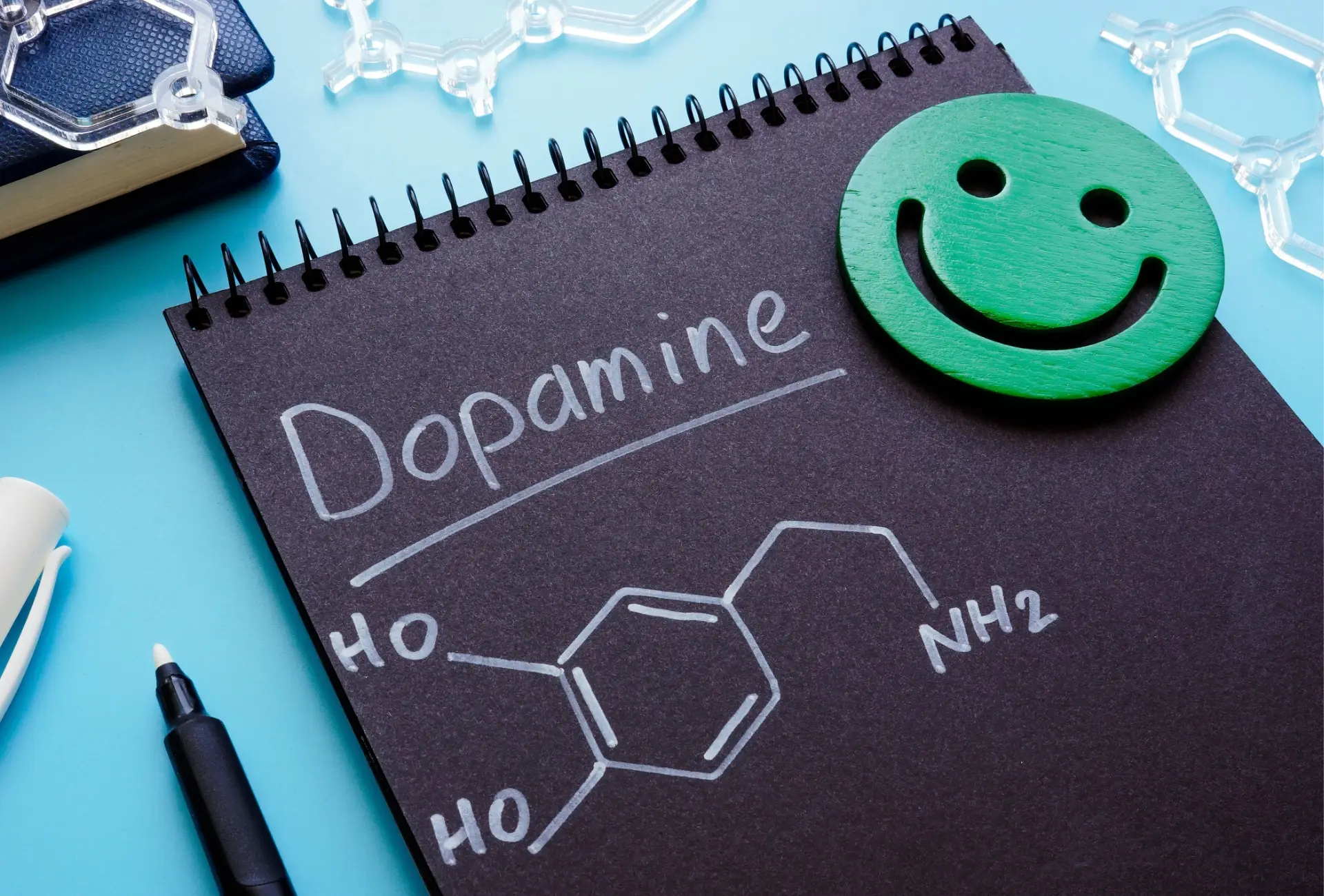 dopamine-effects