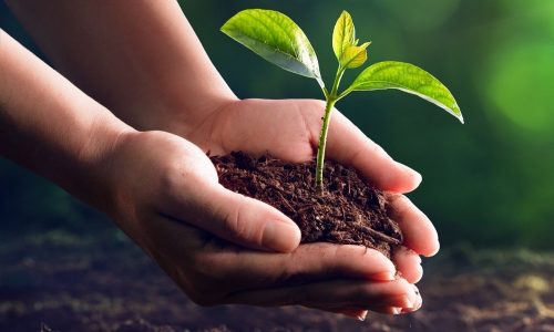 austin-tx-environmental-medicine